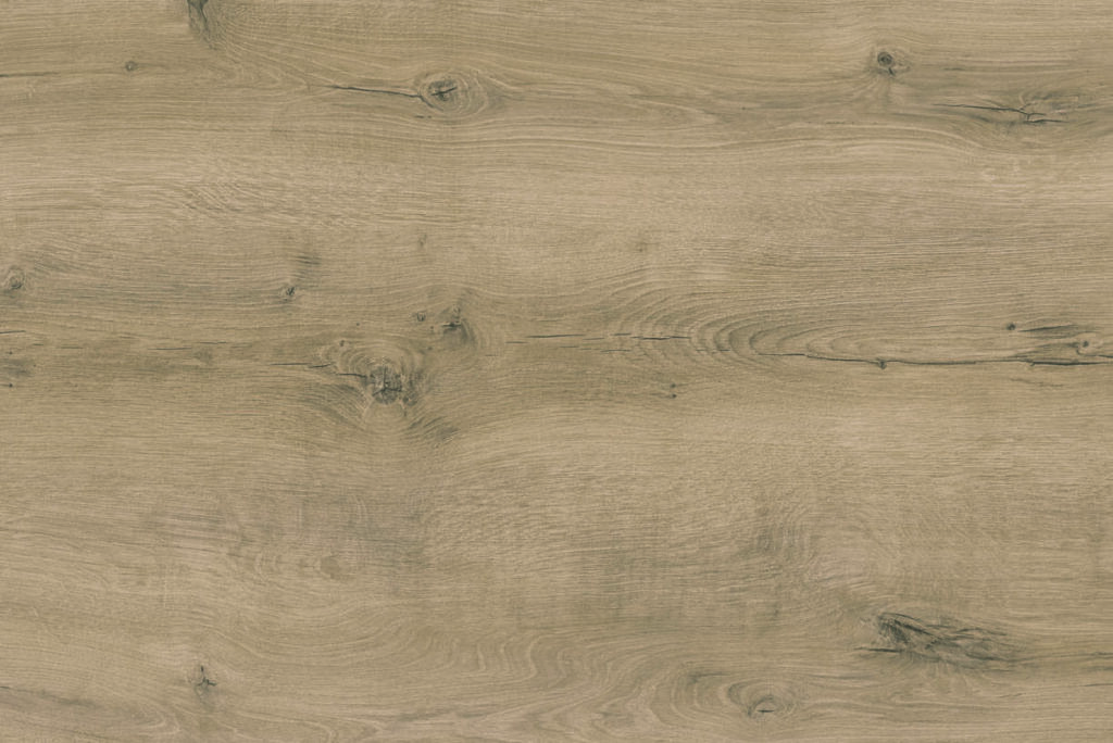 Nevada Oak Reproduction